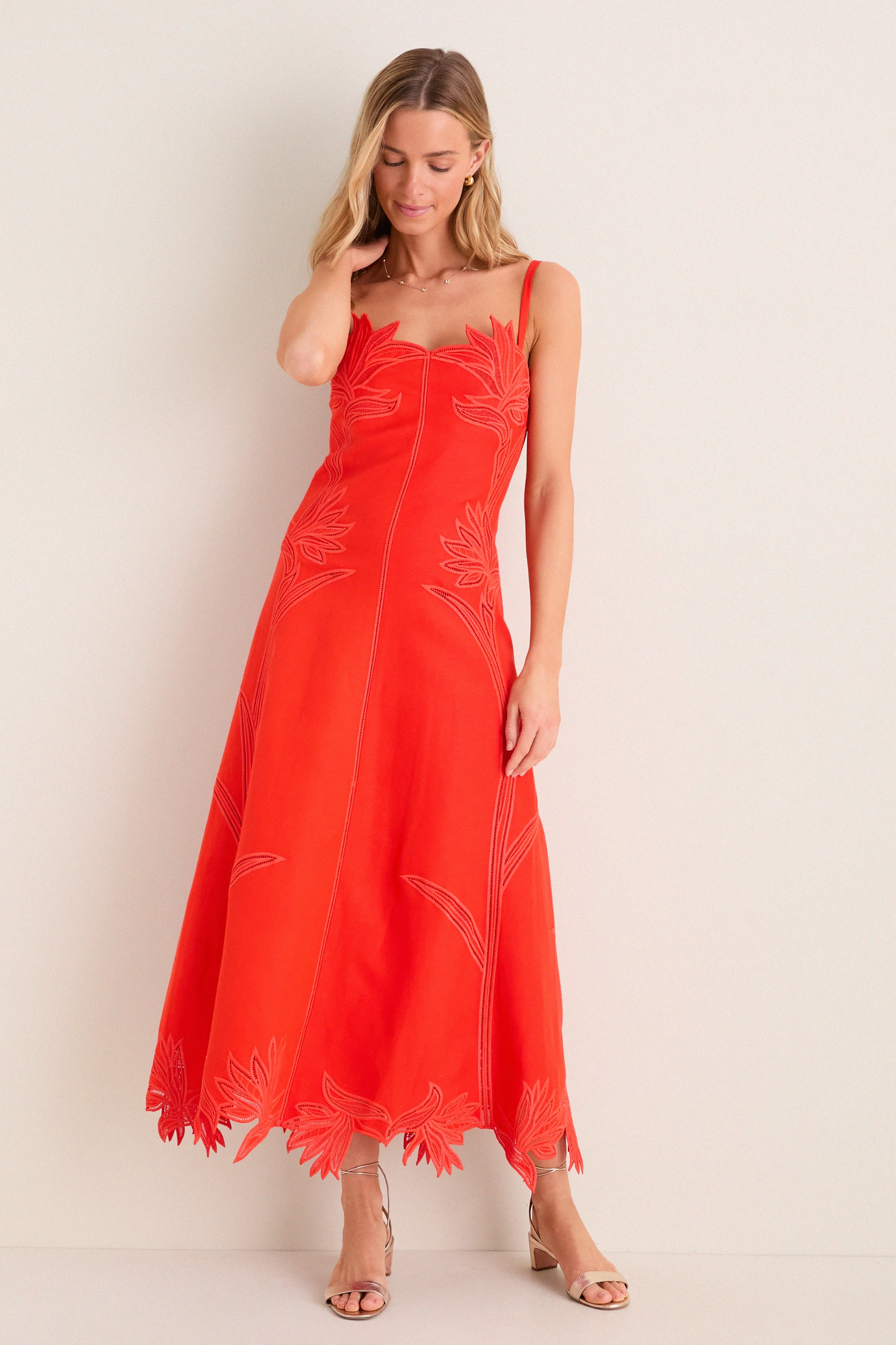 Lobster Ellery Embroidered Bustier Midi Dress