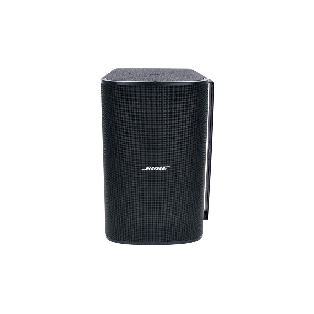 Bose Professional DesignMax DM10S