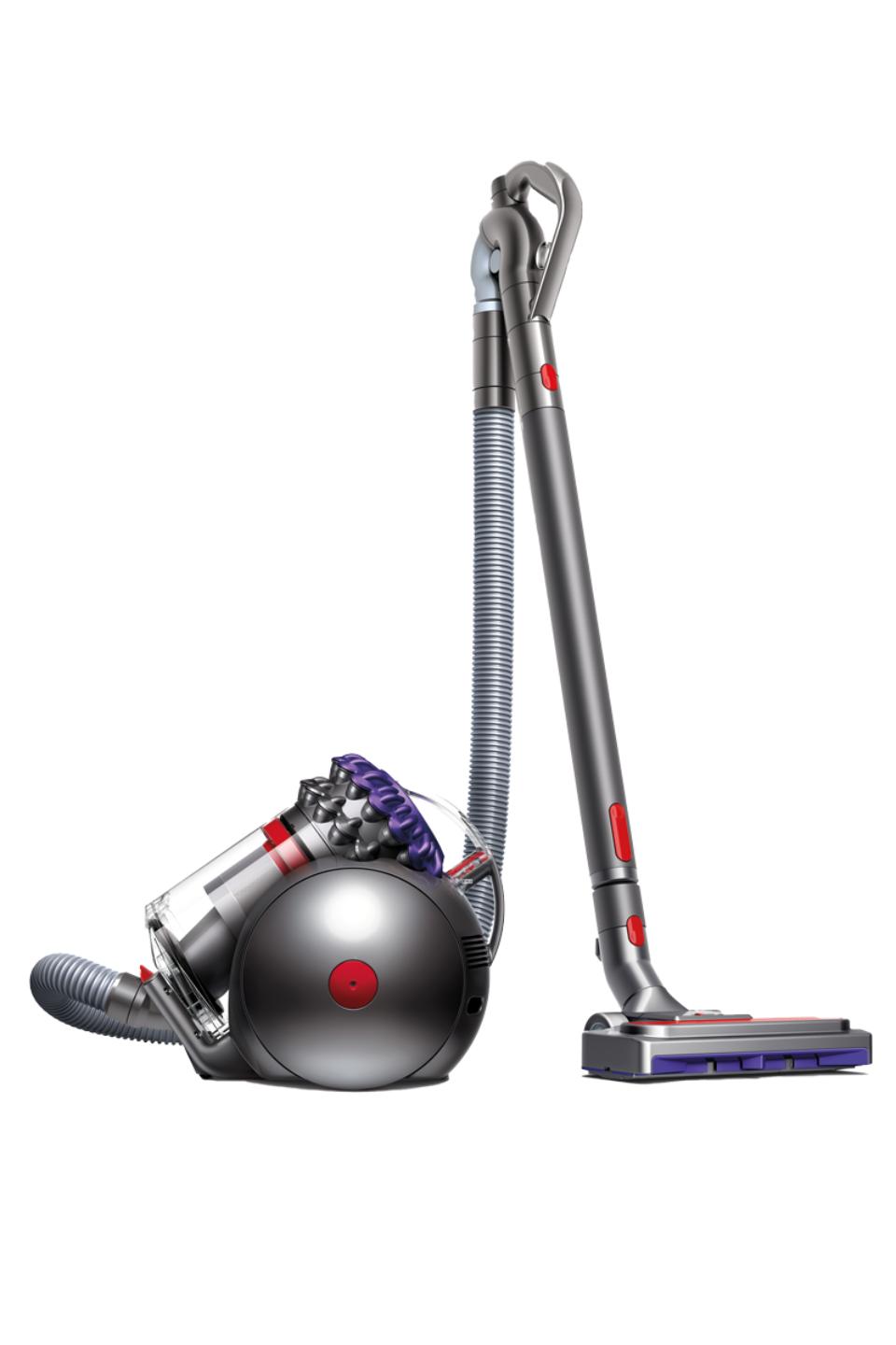 Dyson Big Ball Animal 2