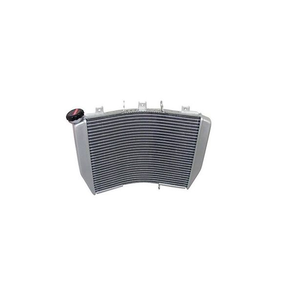 Brazoline adaptable water radiatorRef: RA1161