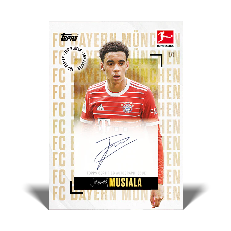 Bundesliga Stars of the Season - 2022/23