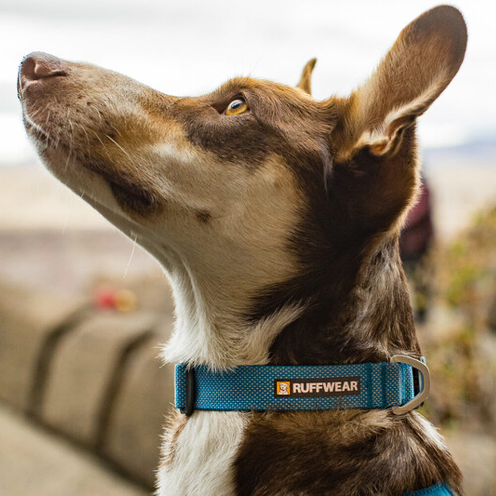 Ruffwear Hi & Light Collar - Lichen Green - 23-28 cm