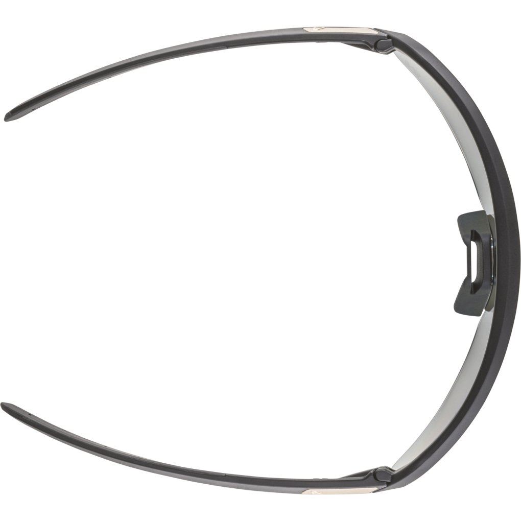 Alpina Turbo Pro S QV Glasses - black matt/rainbow mirror