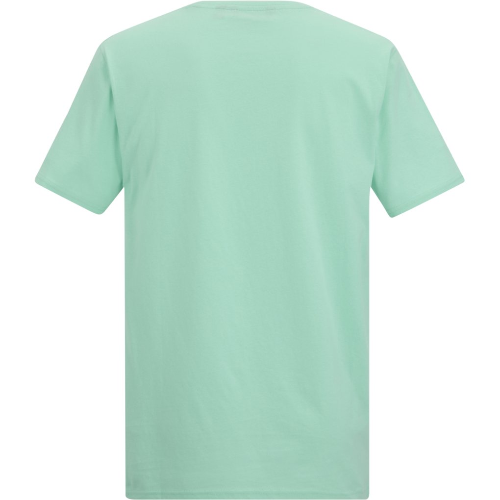Regatta Cline IX T-Shirt Men - Ice Green ZQT