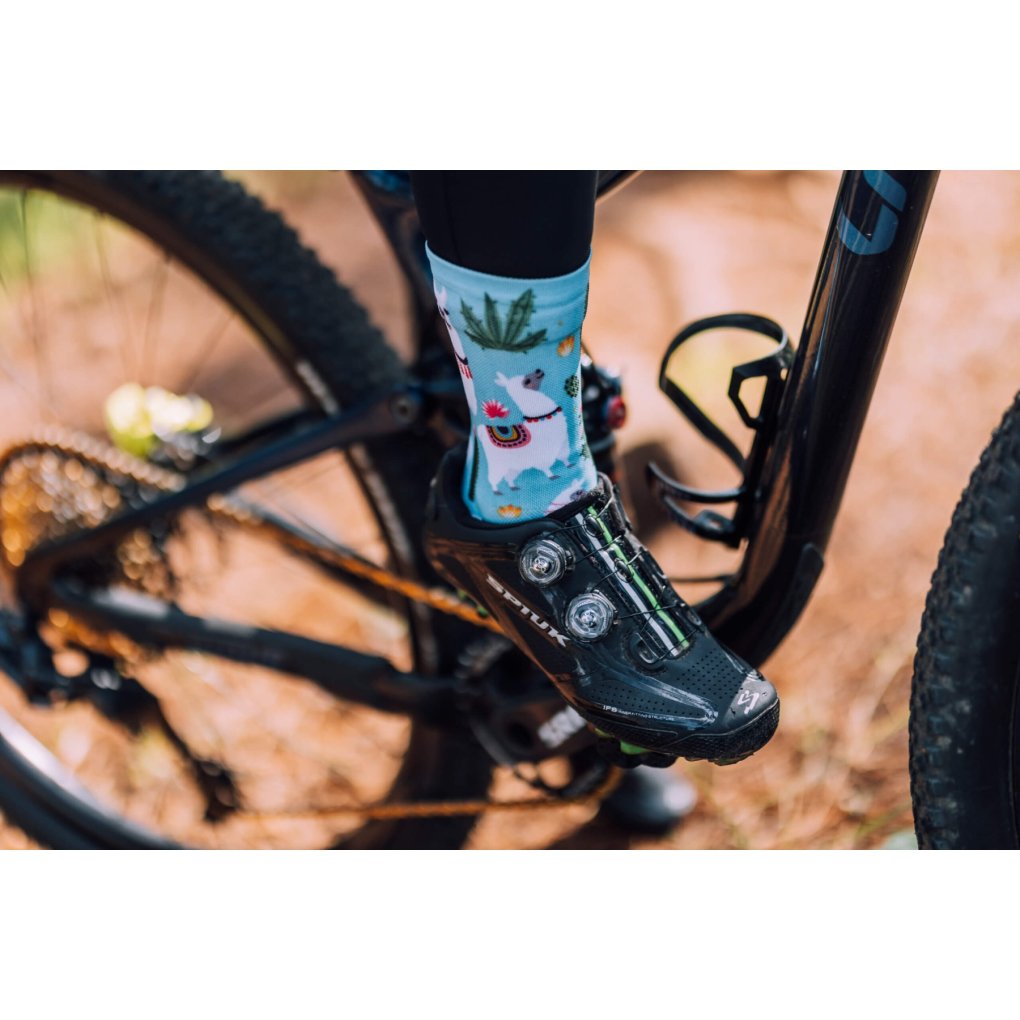 Sox Footwear Animals Socks - llama