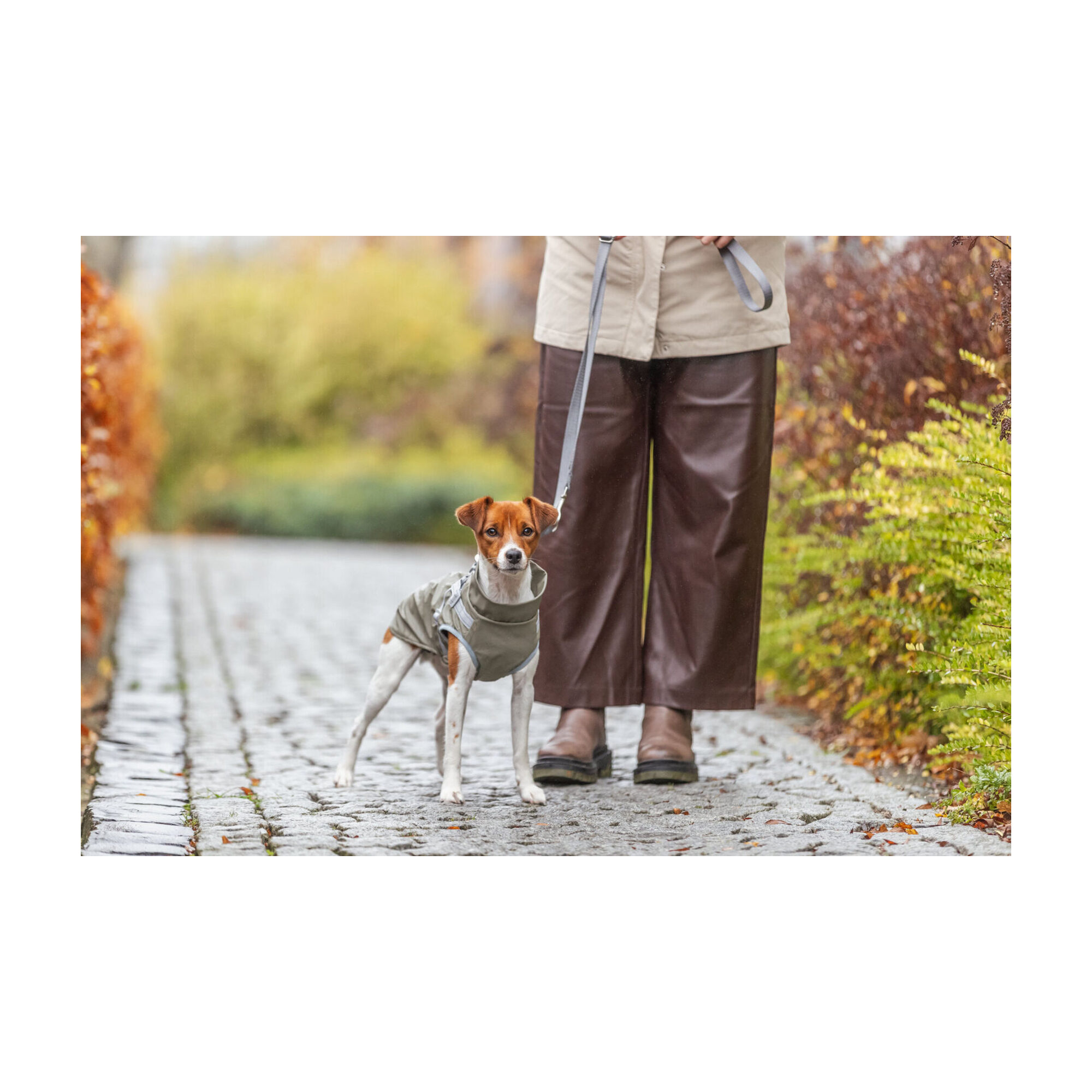 Trixie Pontis Rain Coat with Harness - Pink - XXS - 24 cm