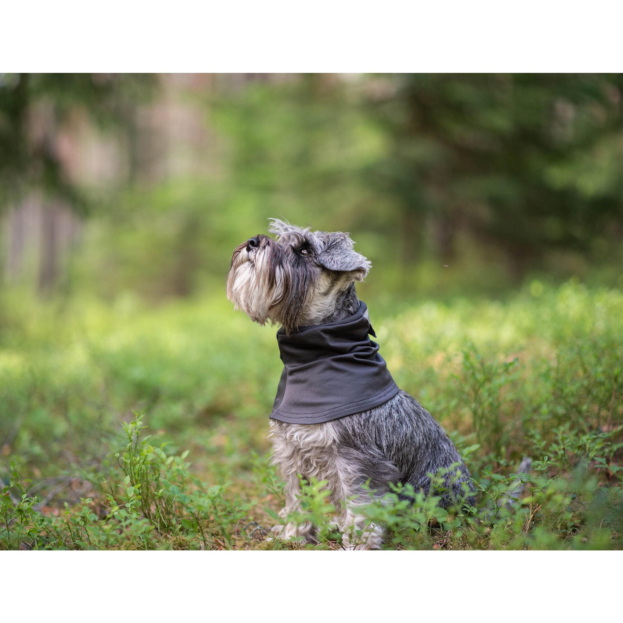 Pomppa HuppuPomppa - Graphite - XS