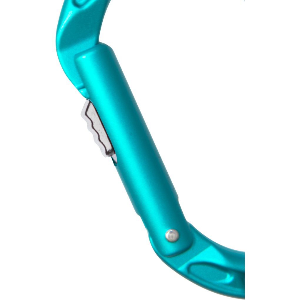 Edelrid Pure Slider II Carabiner - icemint