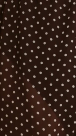 Reda Semi Sheer Pants - Chocolate/White Spot