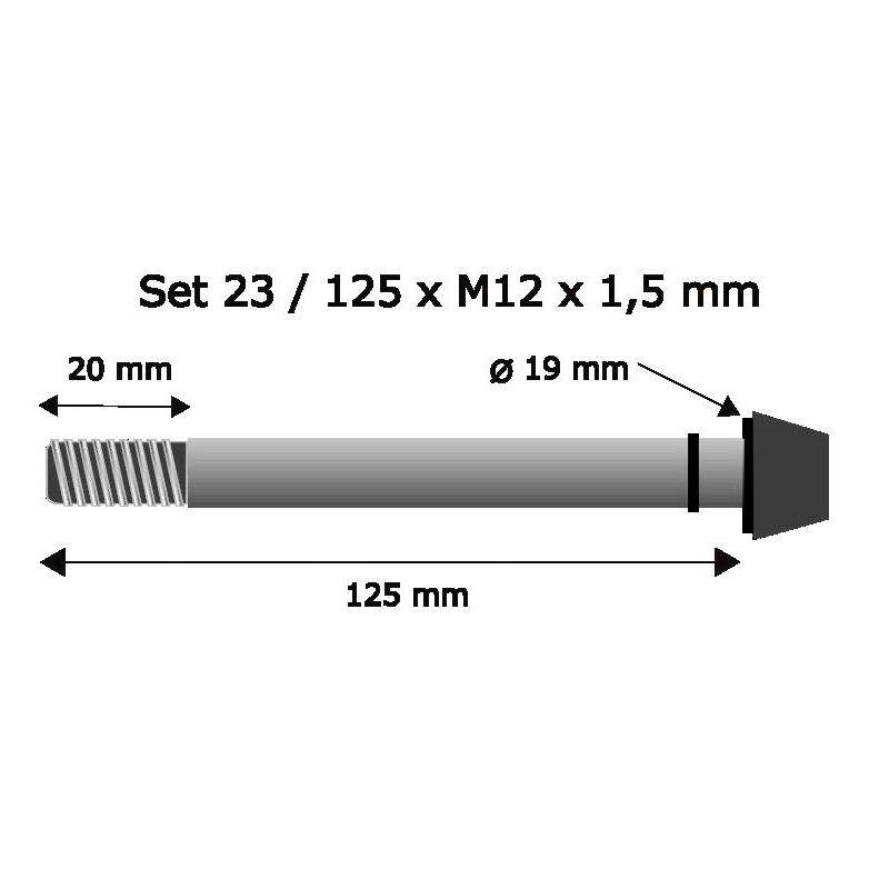 Pitlock Set 23 Thru Axle 12x125mmx1.5mm - black
