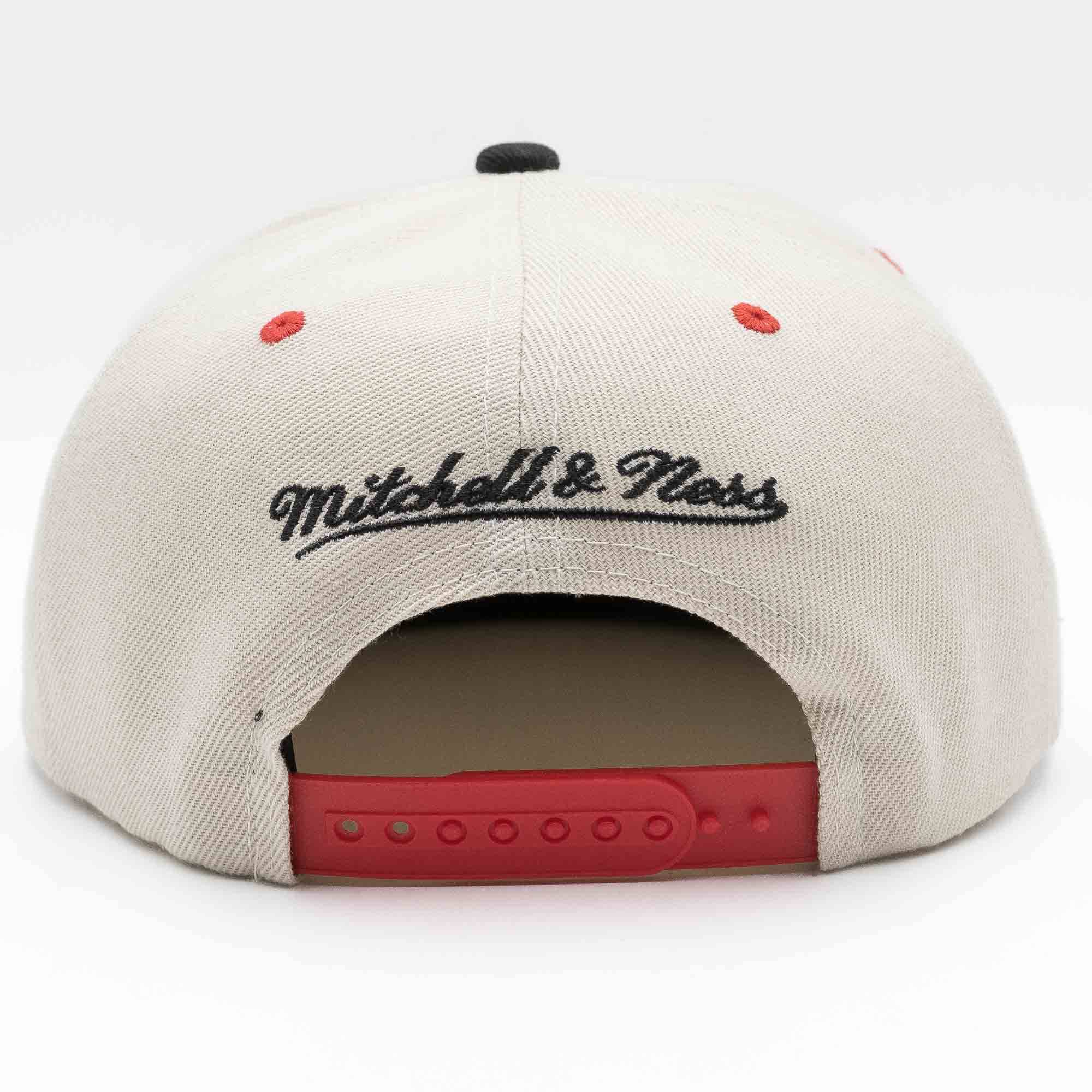 Detroit Red Wings Pop Panel Mitchell & Ness Snapback NHL Cap