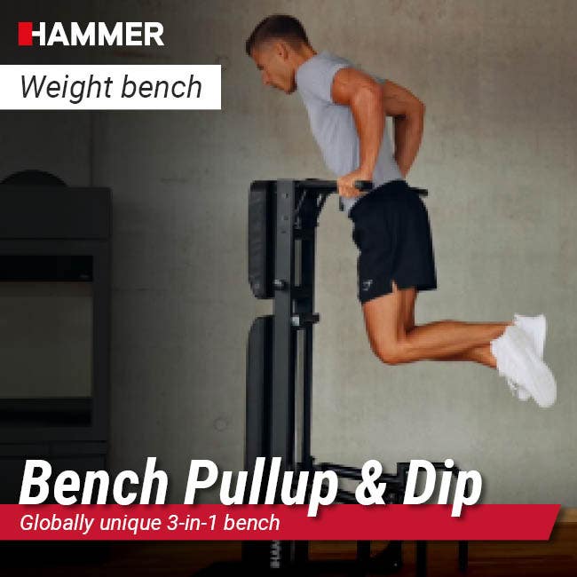 Bench Pullup & Dip
