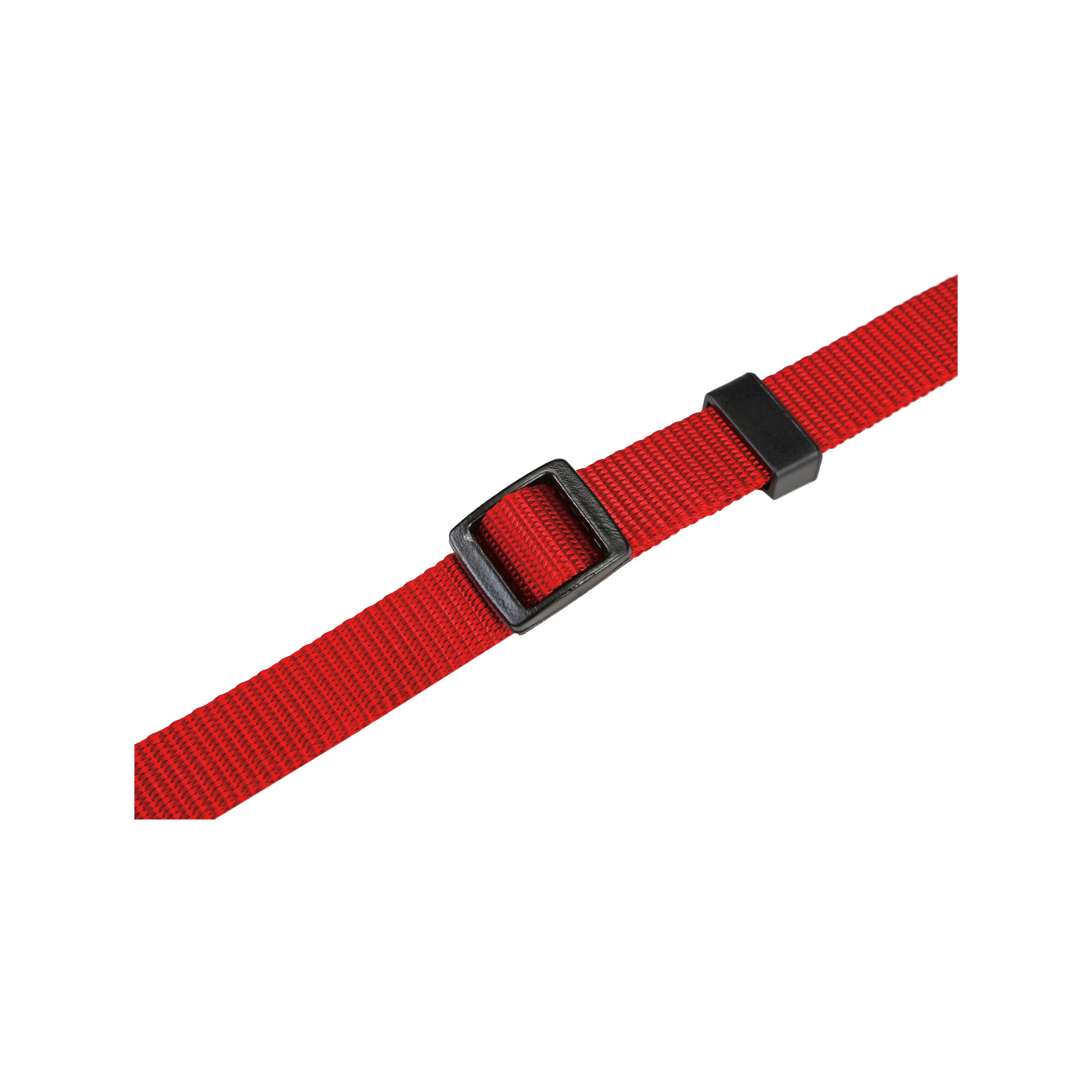 Beeztees Collar Dog - Black - Nylon - 22-35 cm x 10 mm