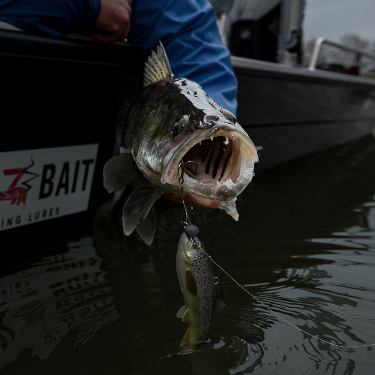 Pulz Bait Trout Skinz (Rainbow Trout)