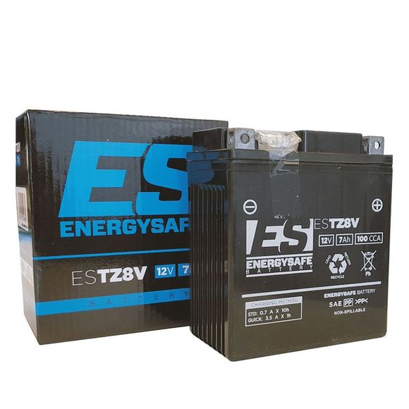 EnergySafe ESTZ8V Battery Closed Type Acid Maintenance Free/Ready to UseRef: E4980