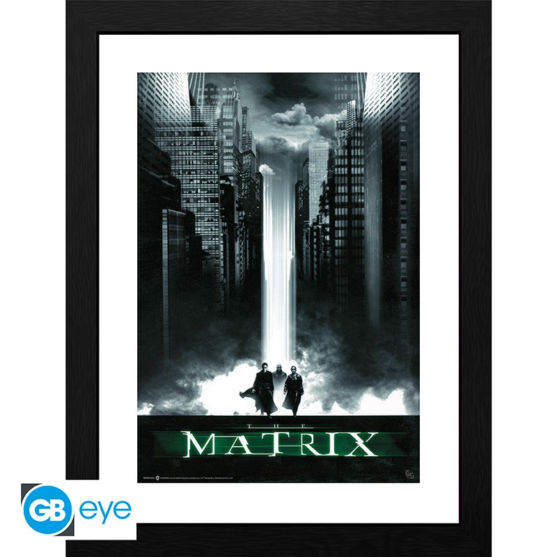 MATRIX Framed print The Matrix