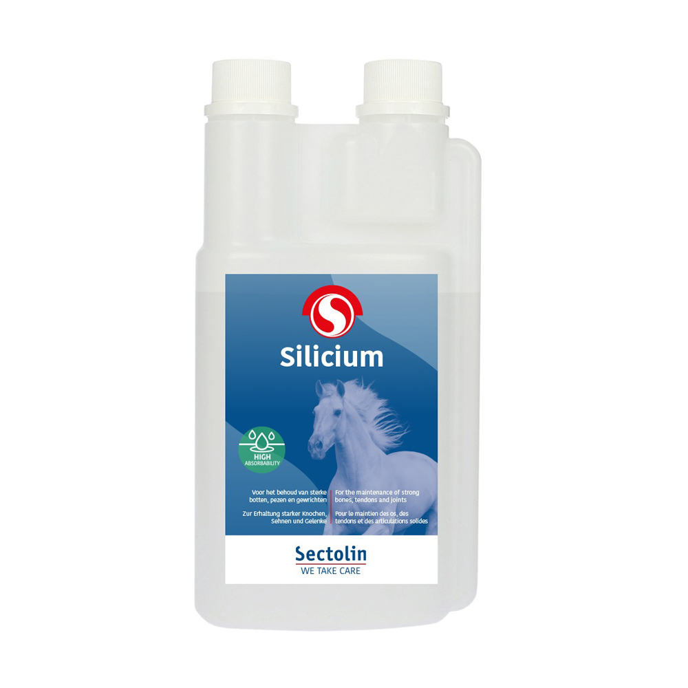 Sectolin Silicon - 1 litre