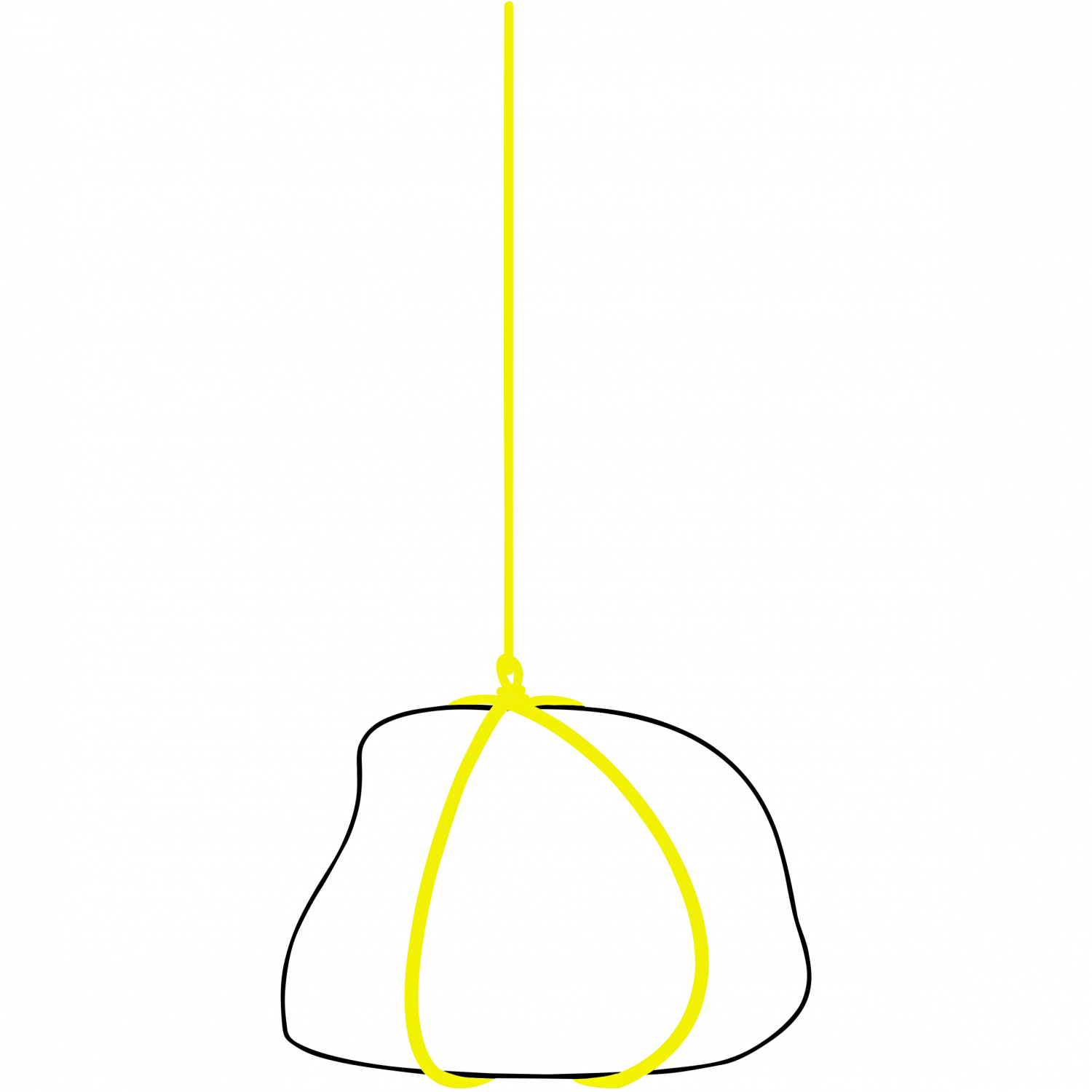 Black Cat Stone Rig Line