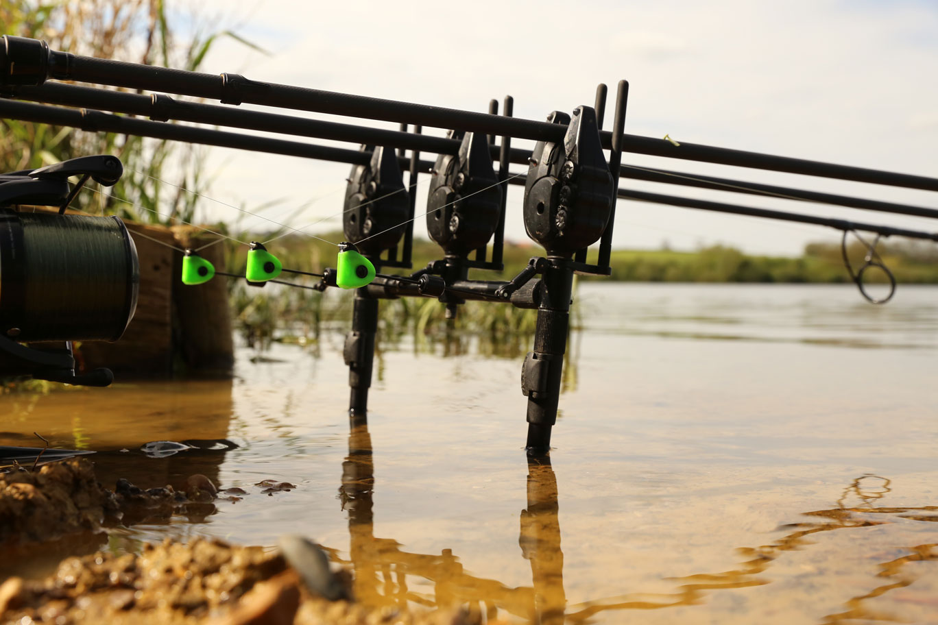 Fox Black Label Mini Swinger