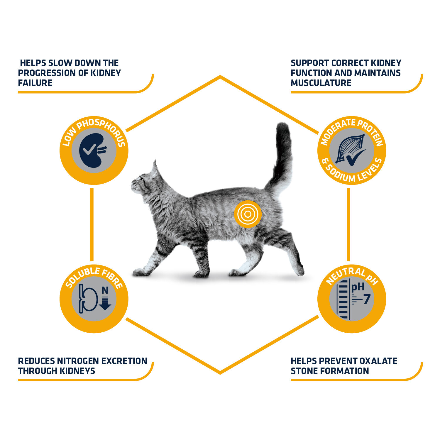 Affinity Advance Veterinary Diets Renal Cat - 1.5 kg