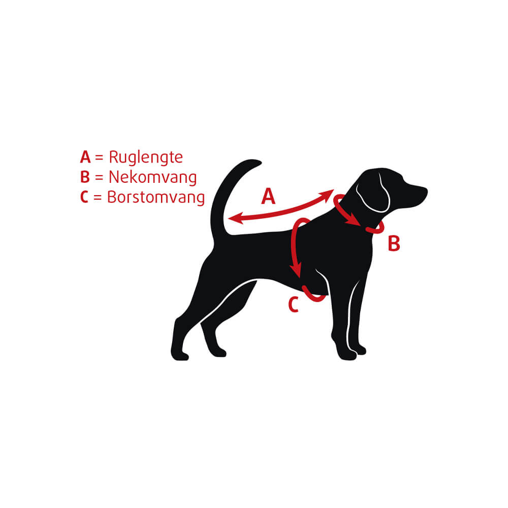 Beeztees Puppy Collar - 17-25 cm