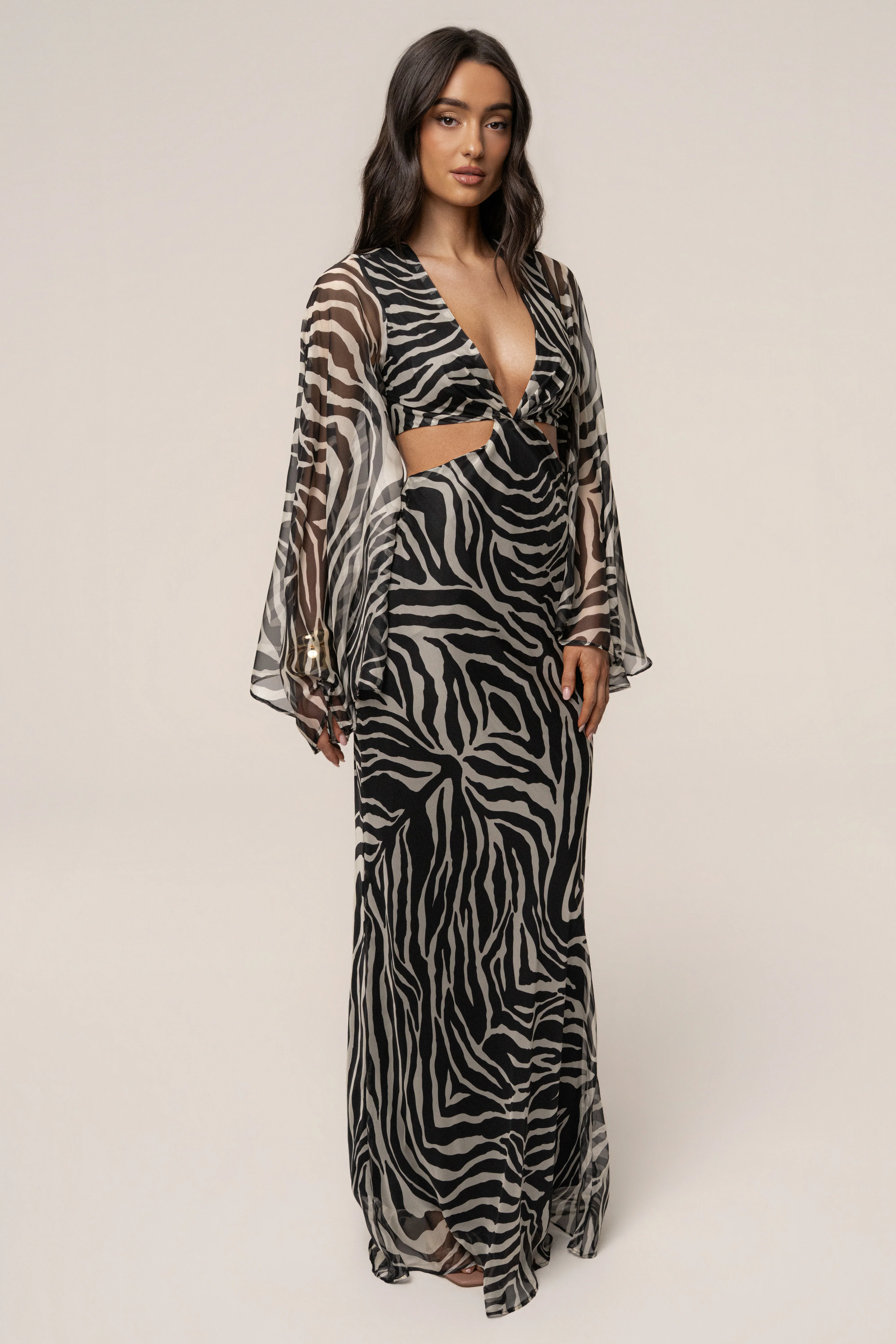 Black Zebra Instincts Print Maxi Dress