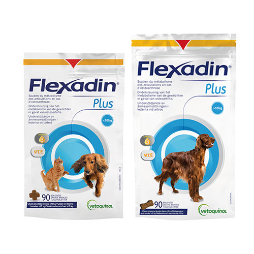 Flexadin Plus Maxi - over 10 kg - 90 chews