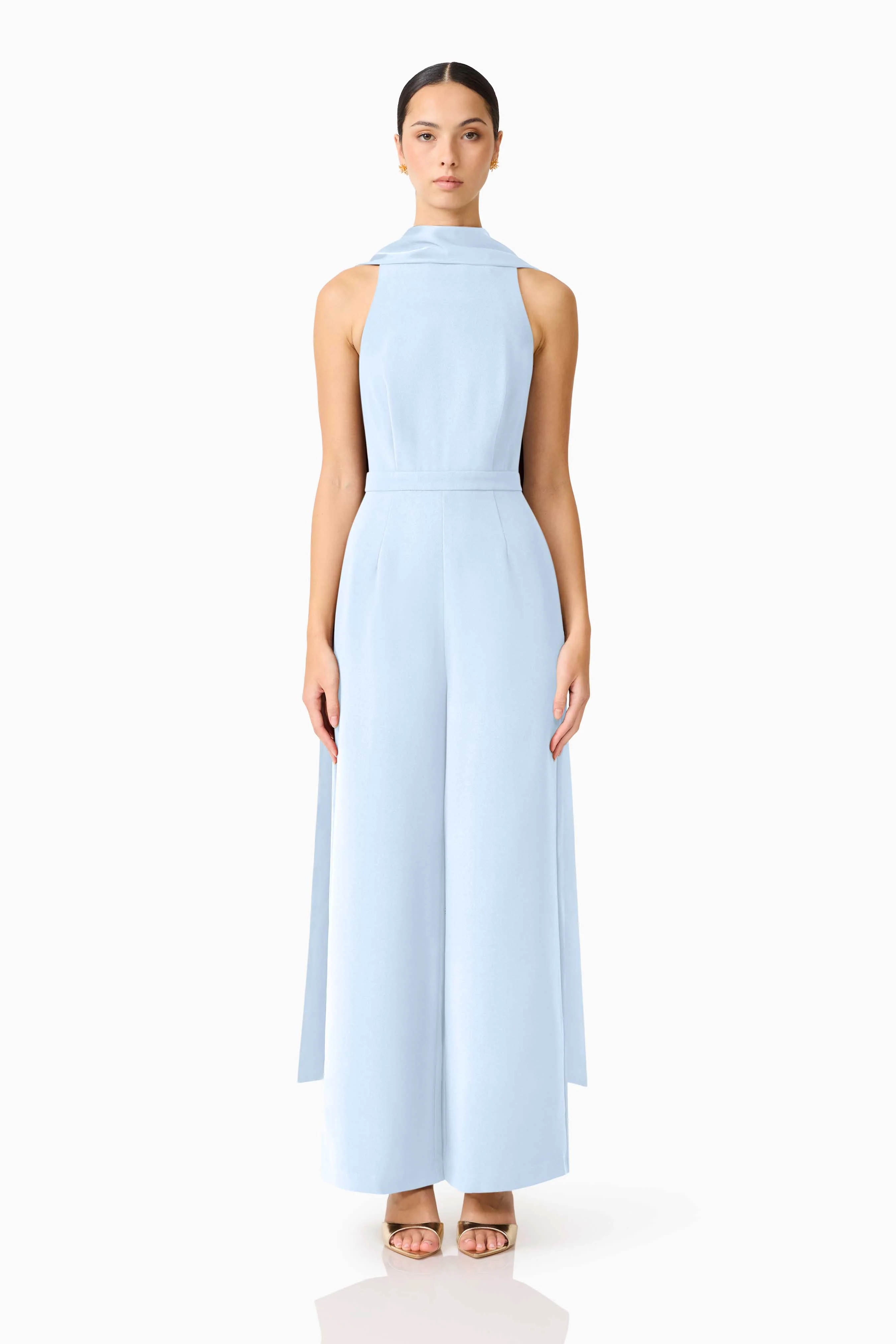 Anaya Wide Leg Jumpsuit in Blue