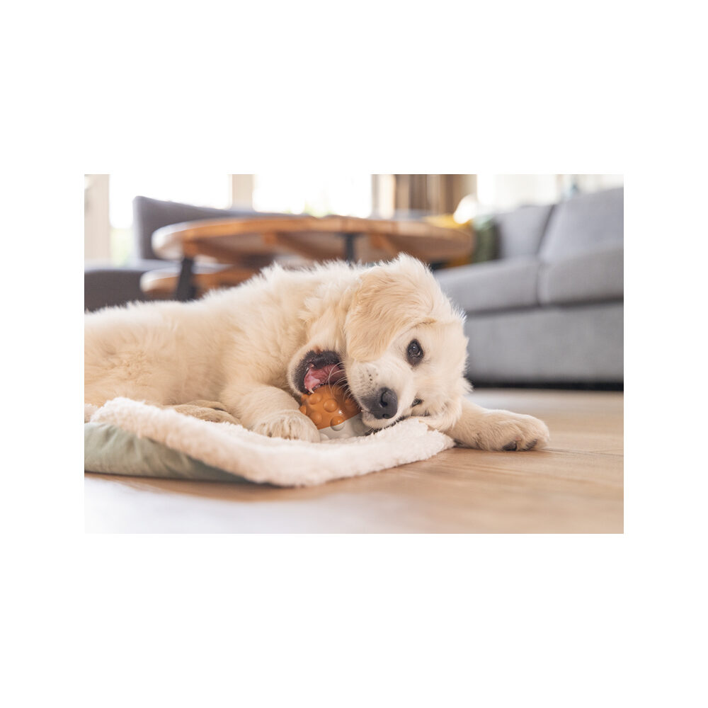 Beeztees Puppy Play Ball Denise - 7,5 cm