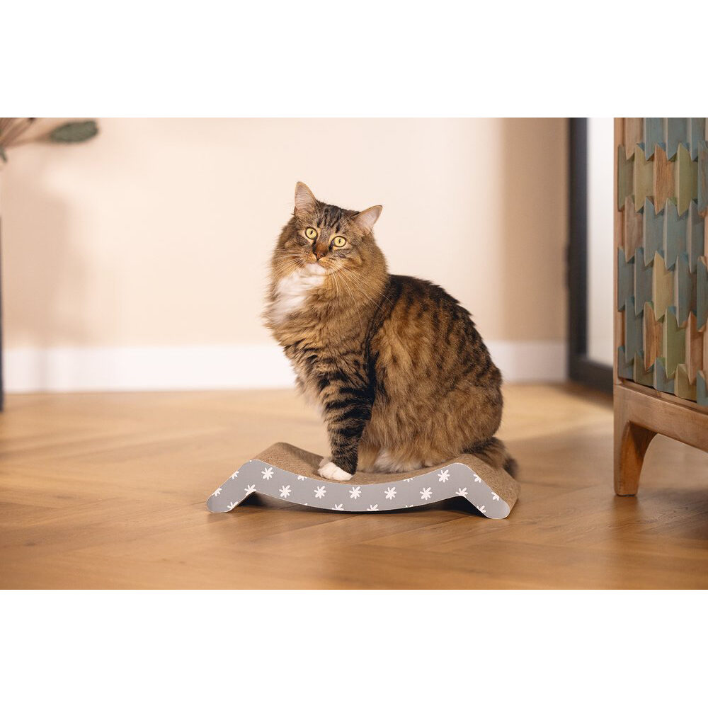 Beeztees Star Scratching Board