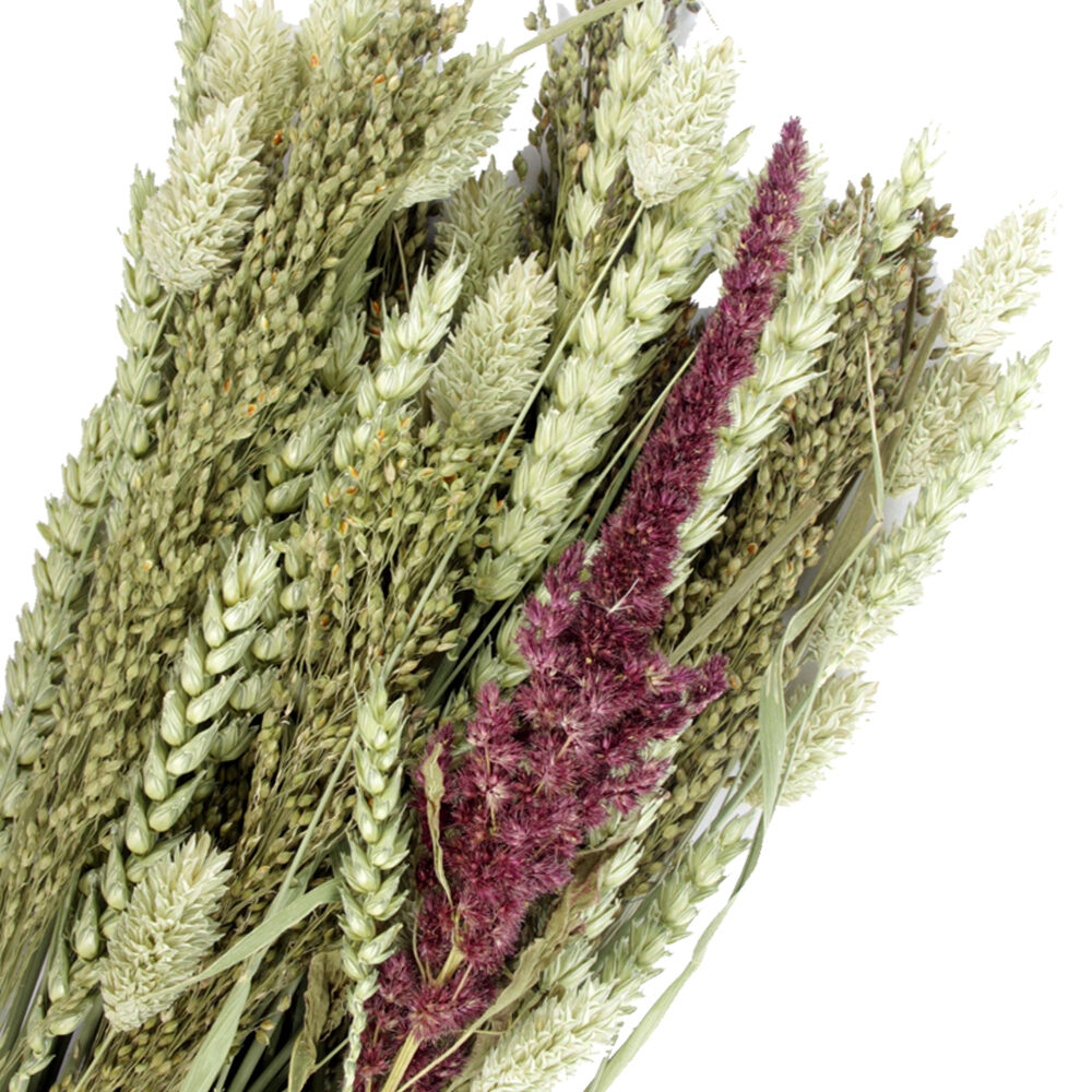 Esve Pet Bouquet Tube Equator - 1 piece