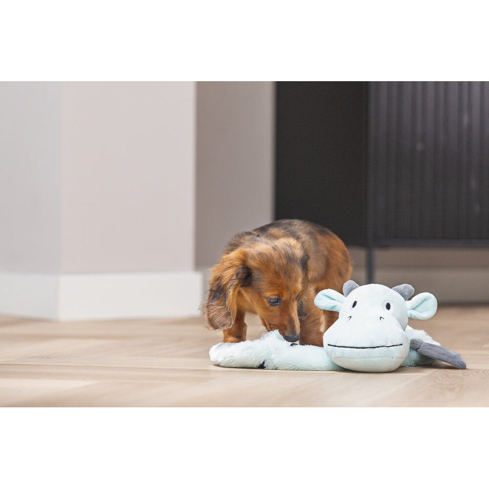 Beeztees Puppy Flatino Dragon Yi - 45 × 24,5 × 6 cm