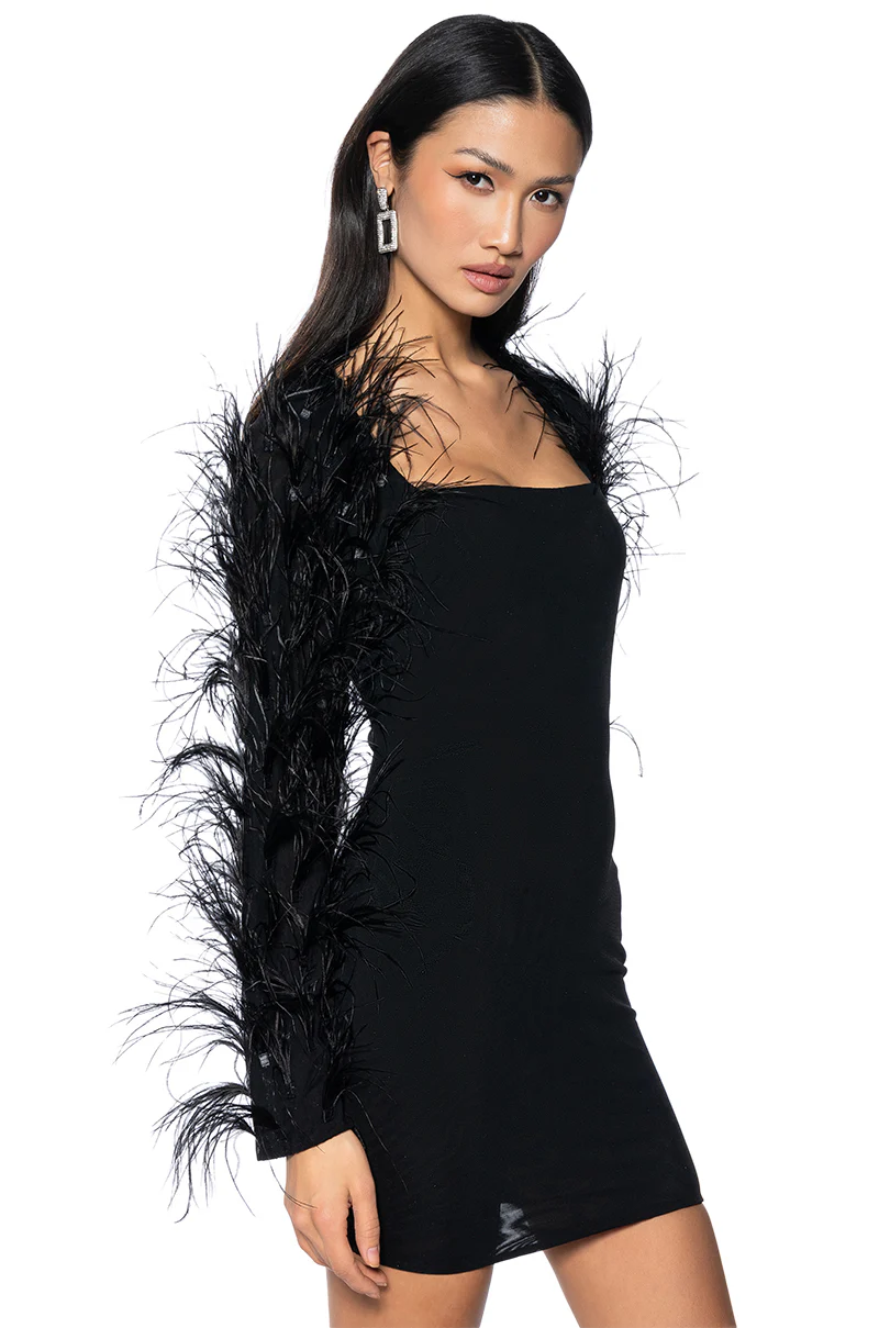 Ruffle My Feathers Mesh Mini Dress