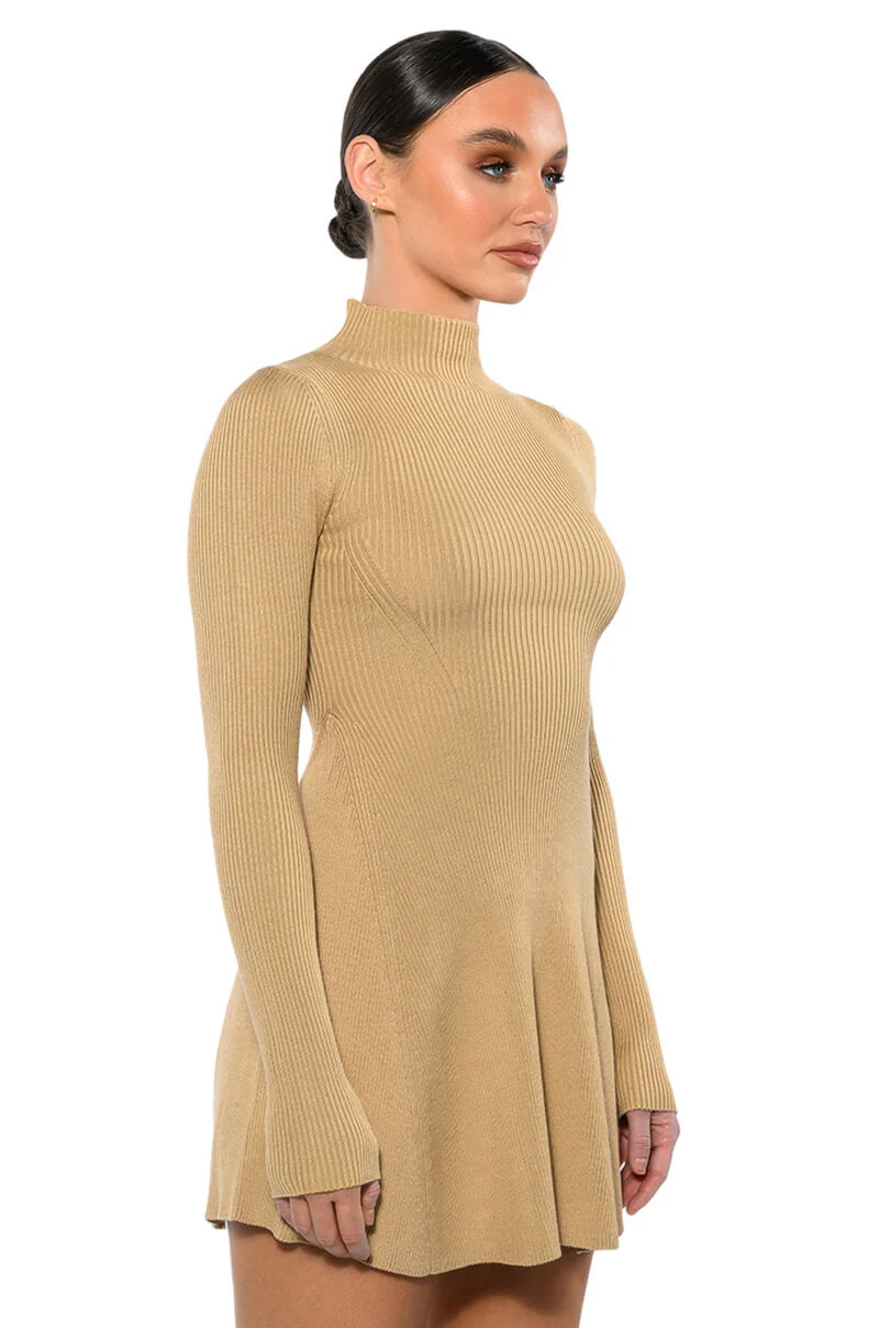 Jacie Mock Collar Knit Mini Dress