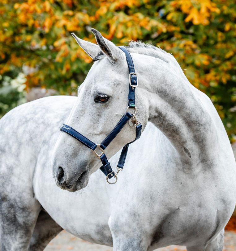 Horseware® Grooming Headcollar