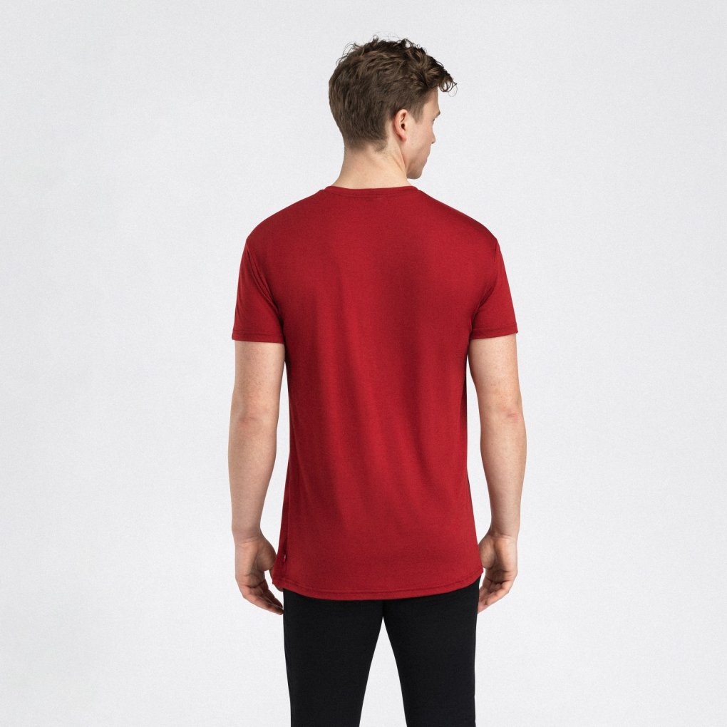 Aclima Lightwool 140 Classic Tee Men - red dahlia