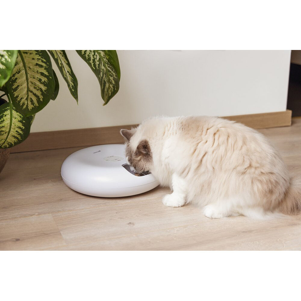 Beeztees Onni Automatic Pet Feeder - White