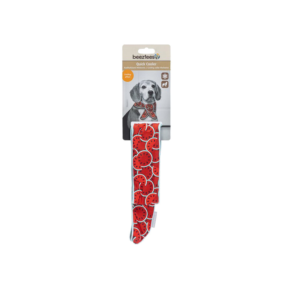 Beeztees Quick Cooler Meloenie Dog Collar - Red - S