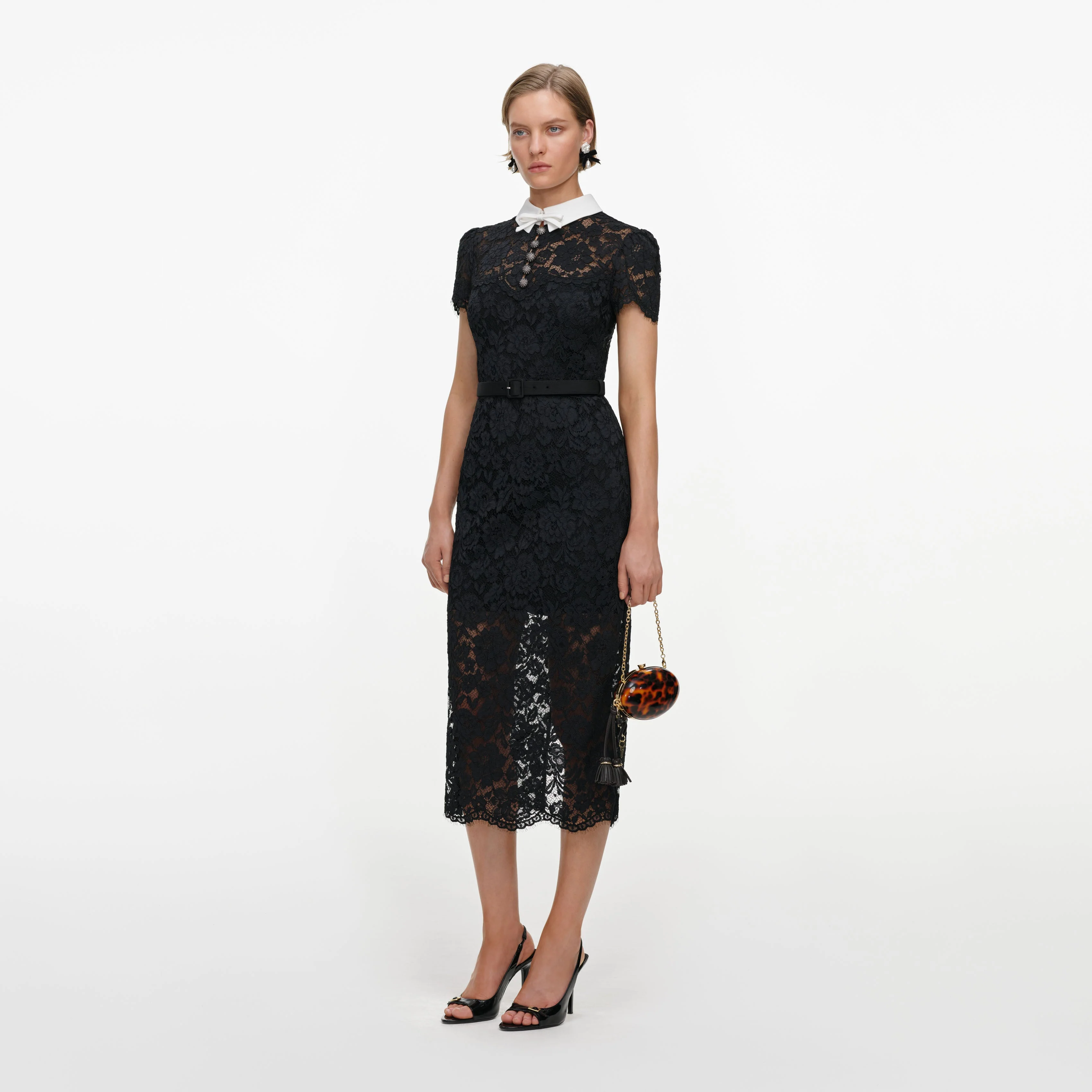 Black Lace Contrast Collar Midi Dress
