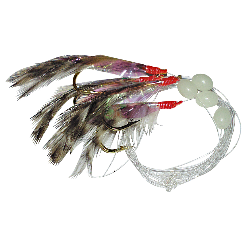 Eisele Leader Atlantic with stimulus flies