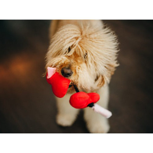 P.L.A.Y. Pet Puppy Love - Fur-Ever Hearts