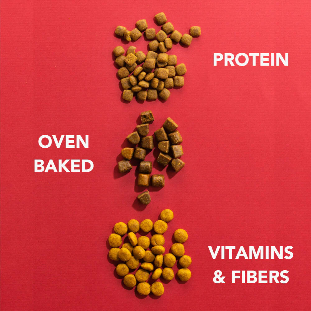 Imby Insect-based Puppy - 1.5 kg