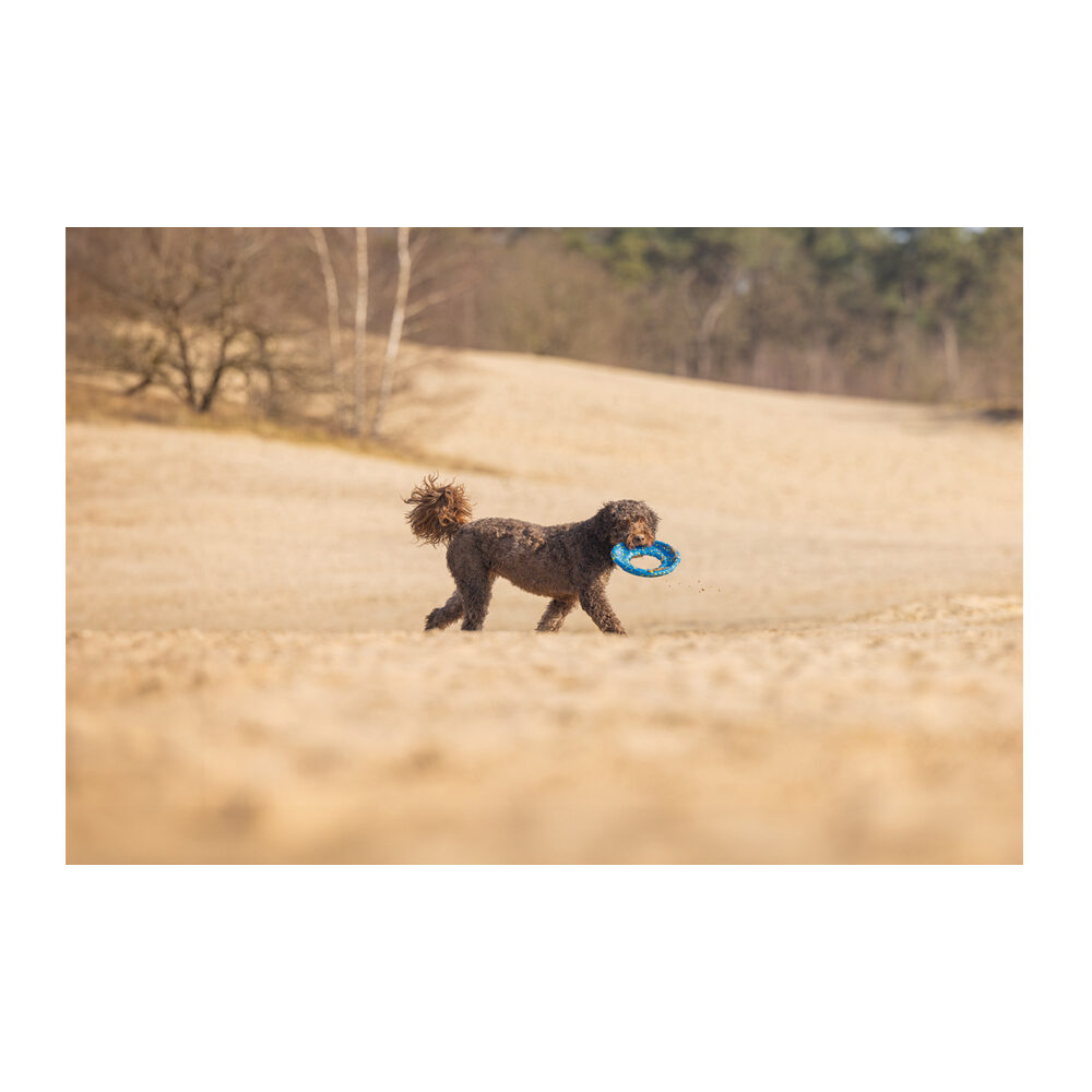 Beeztees Foam Frisbee - Yellow