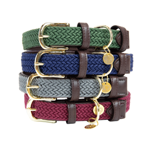 Kentucky Dogwear - Nylon - Braided - L - Beige - 62 cm