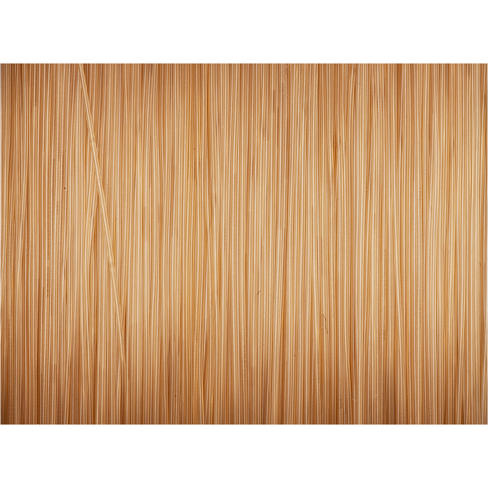 Prologic Fishing line Density Carp Mono (natural brown)