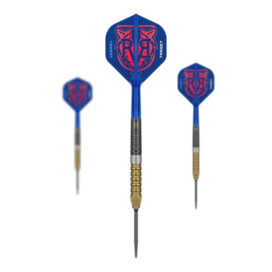 Target Raymond Van Barneveld GEN6 Swiss Point steel darts