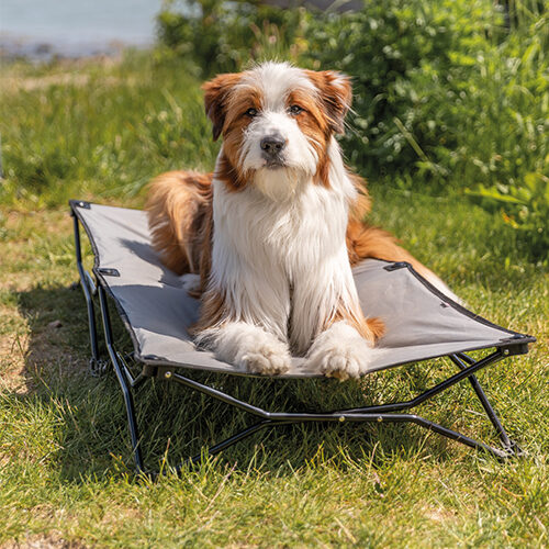 Trixie Camping Basket - 120 × 22 × 60 cm - Beige/black