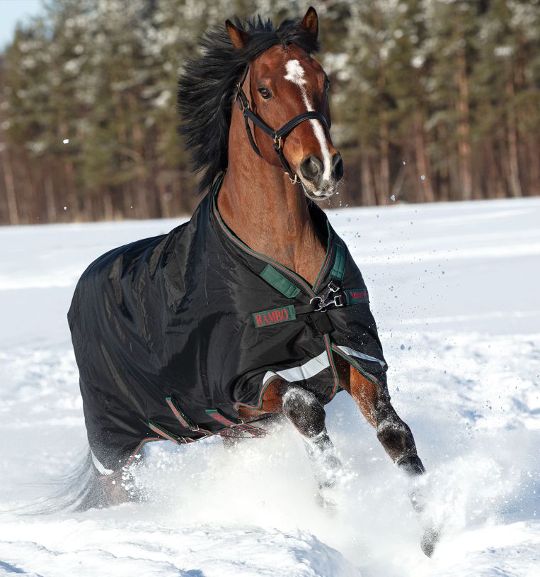 Rambo® Original Turnout with Leg Arches (200g Medium)