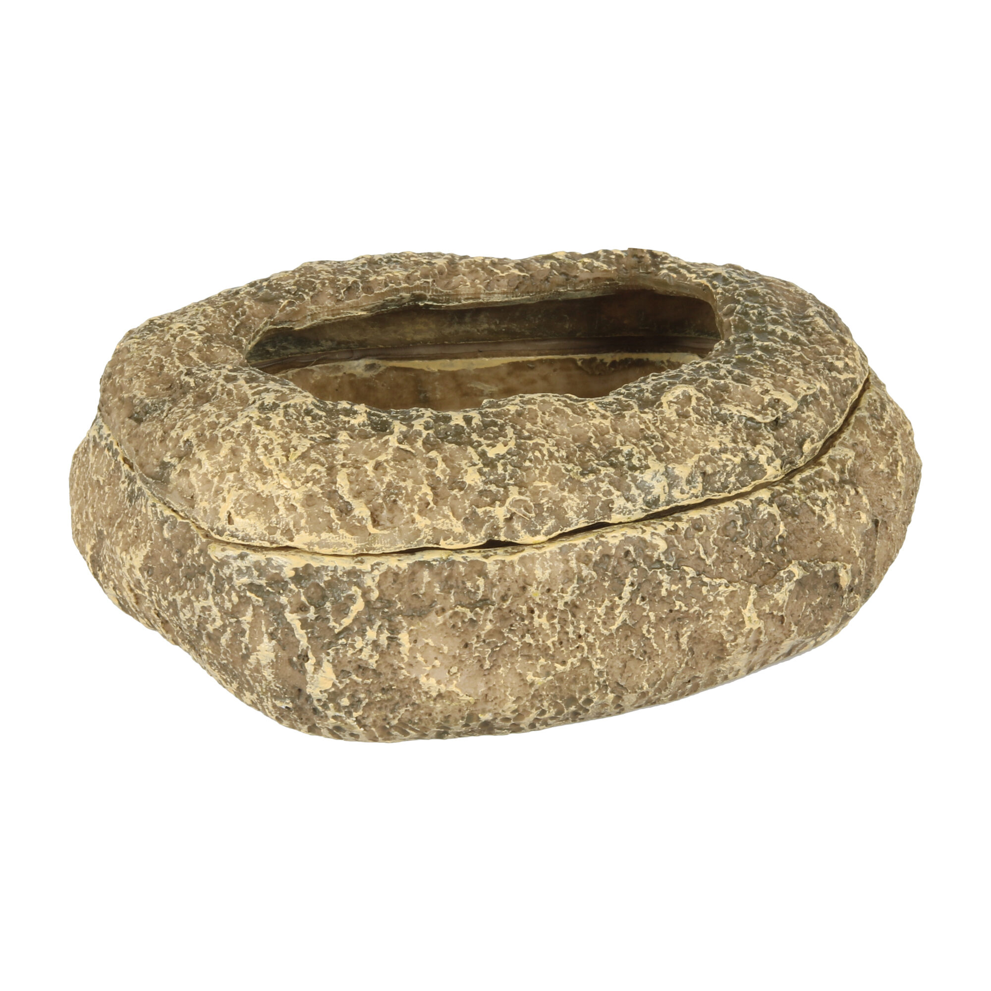 Terra Della Mealworm Dish