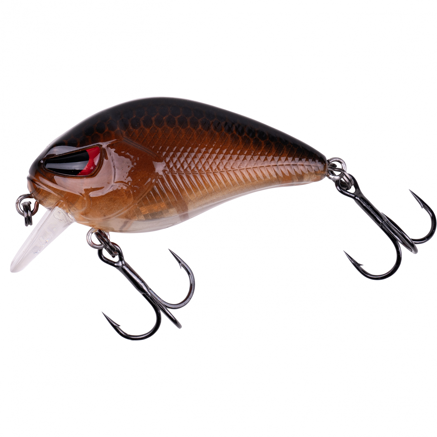 Zeck Danny (Motoroil)